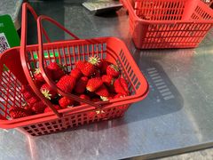 -大自然农场蔬菜草莓采摘园