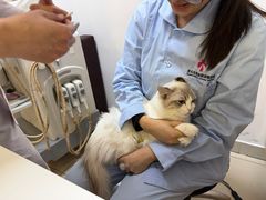 -全心全意连锁动物医院·特色中医诊疗(会城门分院)