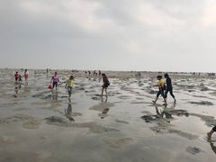 -北海金海湾红树林生态旅游区