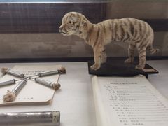 -北京动物园-畅观楼