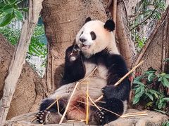 -广州动物园