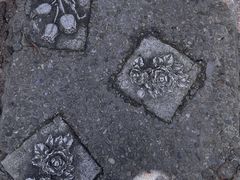 -青青世界