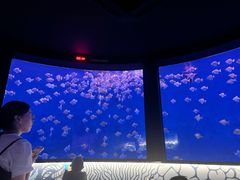 -沈阳海洋探索中心