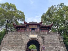-桂湖森林公园