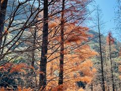 -广州市石门国家森林公园