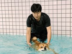-柚子宠物(伊珊娜调理店)