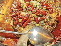 -探鱼·鲜青椒爽麻烤鱼(北京路天河城店)