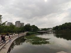 -新江湾城公园