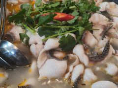 -大鼎石锅鱼(春江里店)