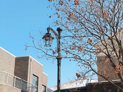 -天津五大道文化旅游区