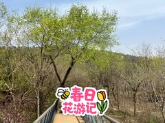 -白水寺森林公园