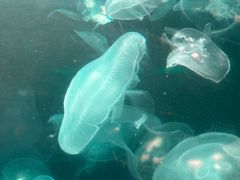 -大明湖海底世界