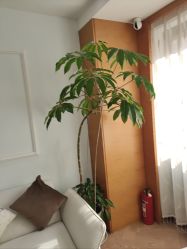 -HEYAN荷妍专业脱毛连锁机构