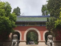-灵谷景区