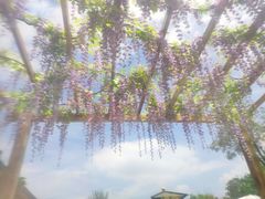 -华山御温泉度假村