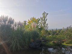 -森林公园(尖草坪区)
