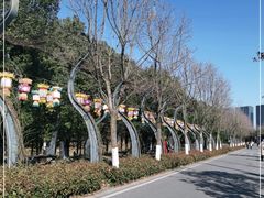 -武汉园博园(武汉自然博物馆)