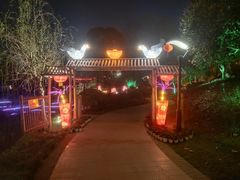 -成飞公园