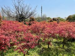 -嘉北郊野公园