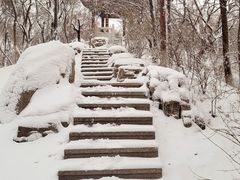 -锦绣公园