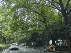 -杭州西湖风景名胜区-满觉陇四眼井