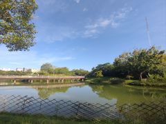 -福田红树林生态公园