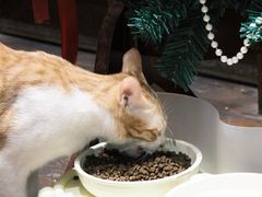 -初甜·舒芙蕾·韩式雪花冰(流塘店)