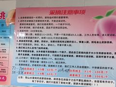 -老袁家蜜桃农场·阳山水蜜桃