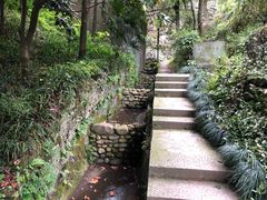 -龙井村