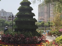 -文瀛公园