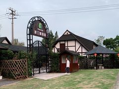 -金山农民画村-枫泾波兰倒置屋