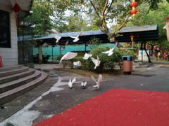 -三水森林公园