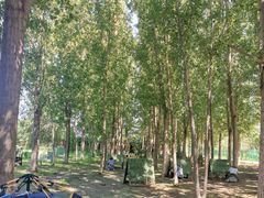 -亲兄弟真人CS团建拓展基地