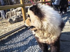 -茅山东方盐湖城景区