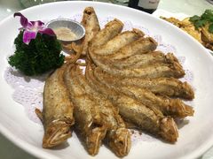 -金米箩大酒店(五角场店)