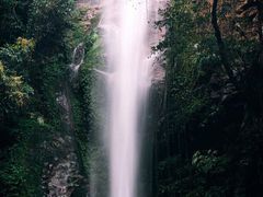 -莫里热带雨林景区