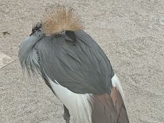 -洛阳龙门海洋馆