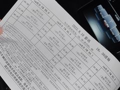 -枫花园汽车电影院(朝阳公园店)
