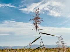 -野鸭湖国家湿地公园