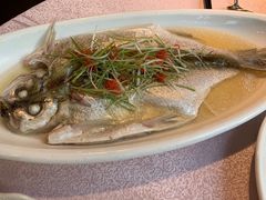 -天福苑(崇宁路店)
