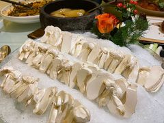 -昆明柏联SPA温泉