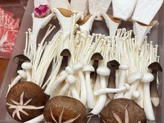 菌类拼盘-阳坊胜利涮羊肉(阳坊老店)
