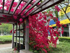 -宜家家居(高新商场店)