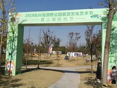 -上海长兴岛郊野公园