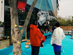 -上海市浦东新区恒宇幼儿园(杨南部)