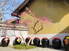 -三国水浒景区(无锡影视基地)