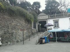 -上海佘山国家森林公园西佘山园