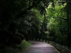 -龟山风景区-龟山电视塔