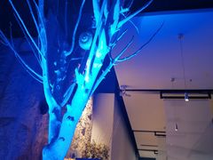 -鉴川·川菜传承(星汇两江店)