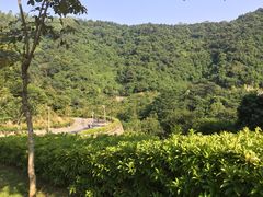 -火炉山森林公园
